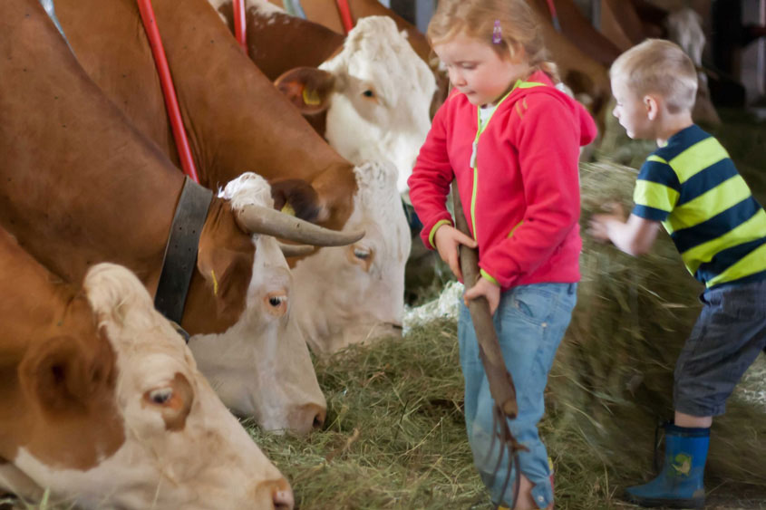 gaestekinder-sind-gerne-im-stall